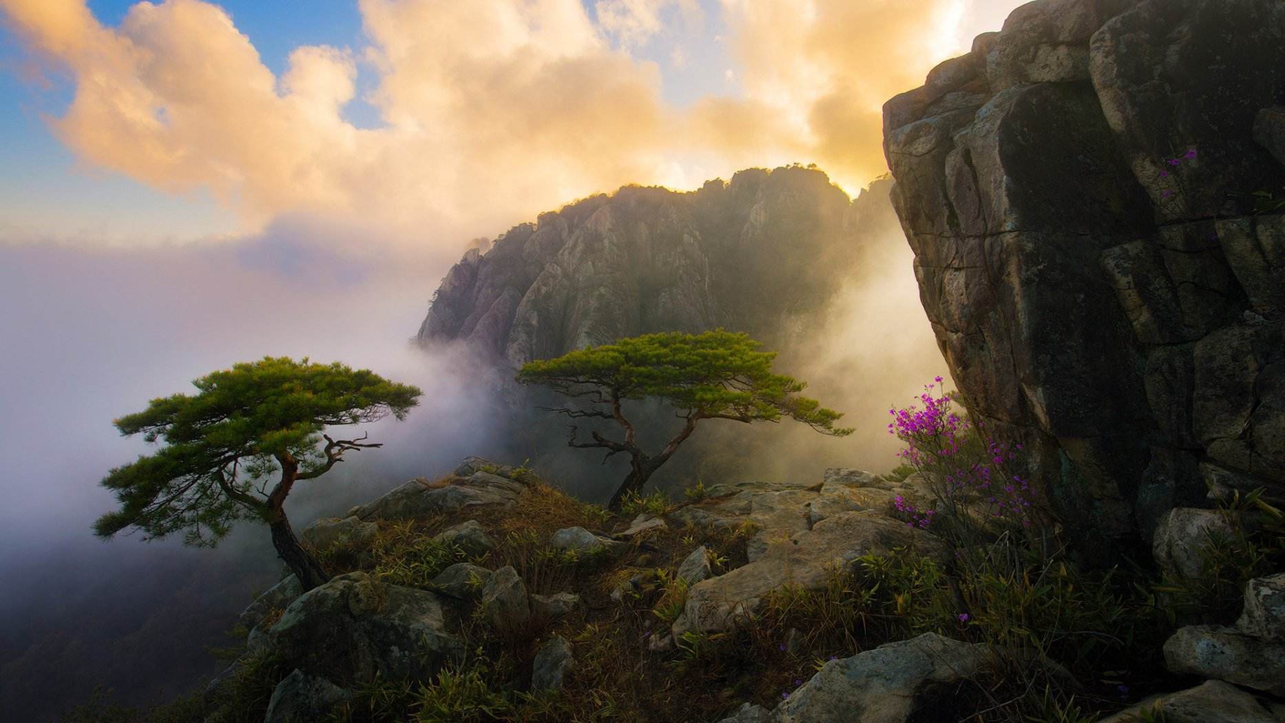 比overleaf好用的latex编辑器vscode+texlive+git