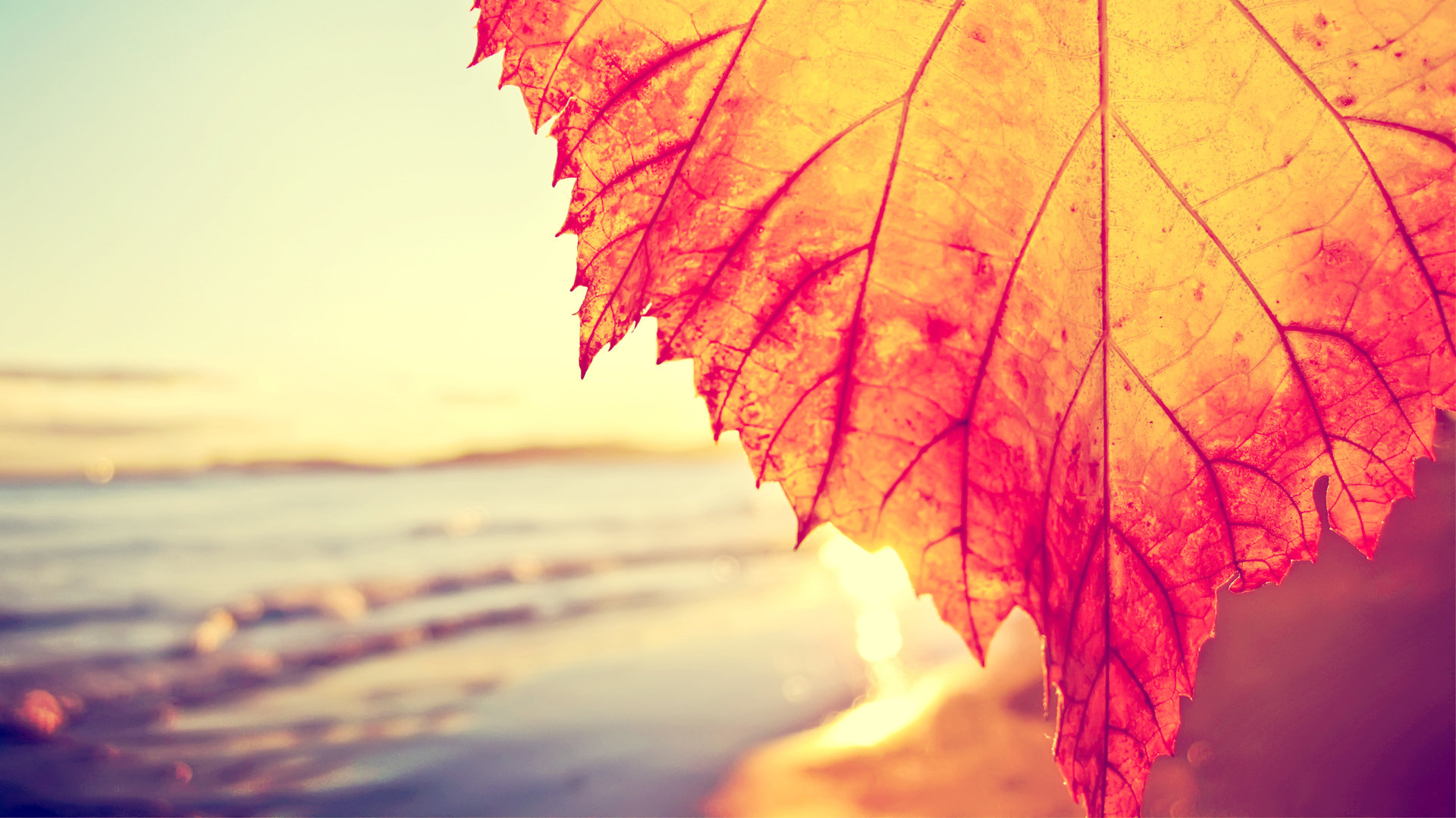 The Neural Hawkes Process